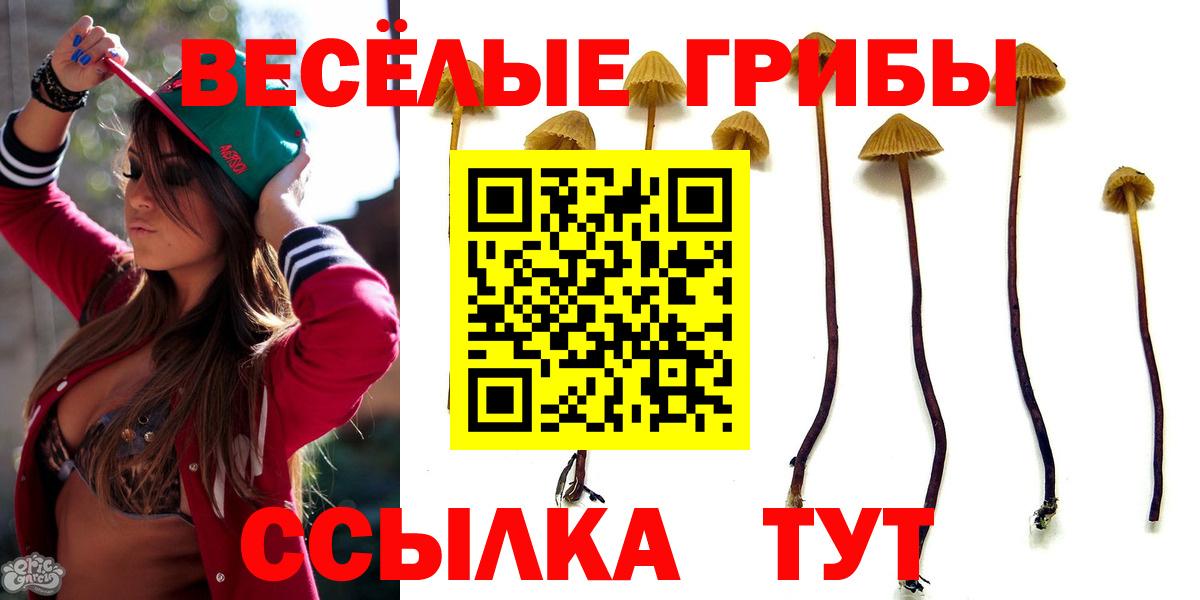 магазин    Вход с VPN  Елизово  Псилоцибиновые грибы GOLDEN TEACHER 